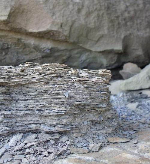 石灰岩是什么岩（石灰岩是什么岩石变质形成的）